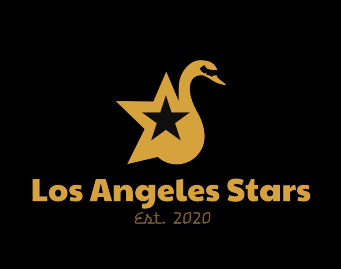 stars_of_la's tweet photo. With the help of AI, we present, the NEW LA Stars! We’re looking forward to next season 🦢 #shinebright💫 https://t.co/xcdbwhDG3e