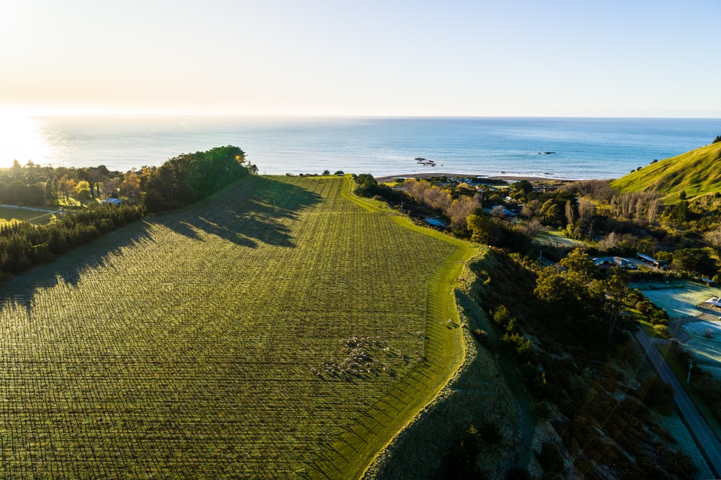 Nestled amidst timeless mountains and an iron sea, the views of Kekerengu Coast in New Zealand are breathtaking. We feel so fortunate that these views are ours to enjoy.

allanscott.com/product/allan-…