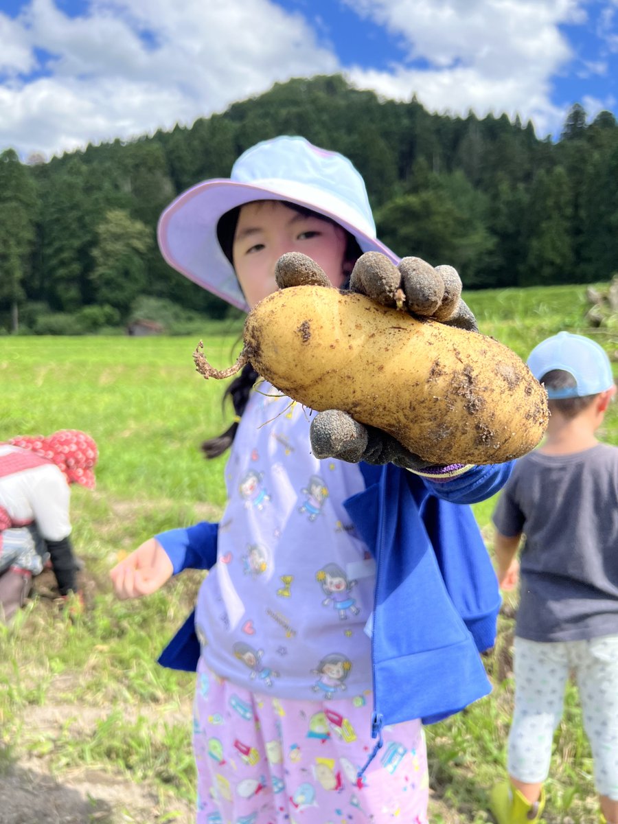 WhiteRabbits12's tweet photo. きのうは #とうもろこしフェスタ 🌽の後

#じゃがいも掘り に 行ってきたよ 🥔✨

大きな #じゃがいも が

たくさん 獲れたぴょん🐰☺️💕

#ホワイトラビッツ
#ねねぴょん

#鳥取県 #琴浦町 #家庭菜園 
#田舎暮らし #農業体験 #収穫体験 https://t.co/FeONl8FWsL
