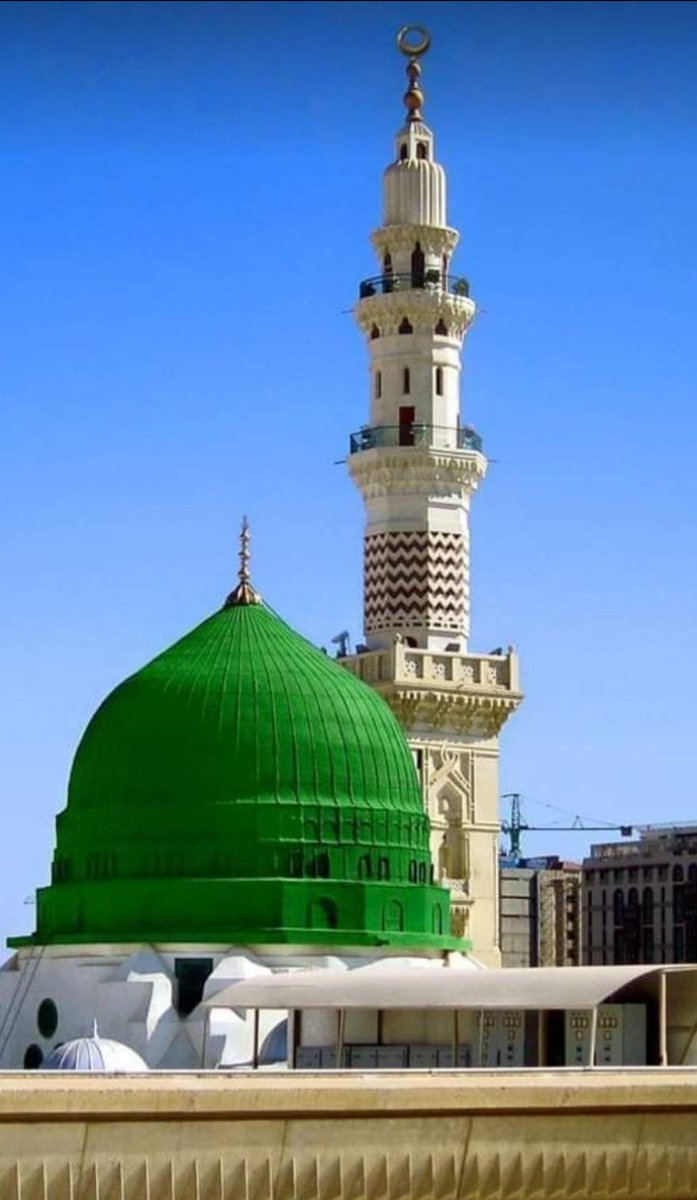 wild__catoo's tweet photo. (﷽)  وَرَفَعْنَا لَكَ ذِكْرَكَ ۝  (ﷺ)❤️ https://t.co/QZOMmHlEEH