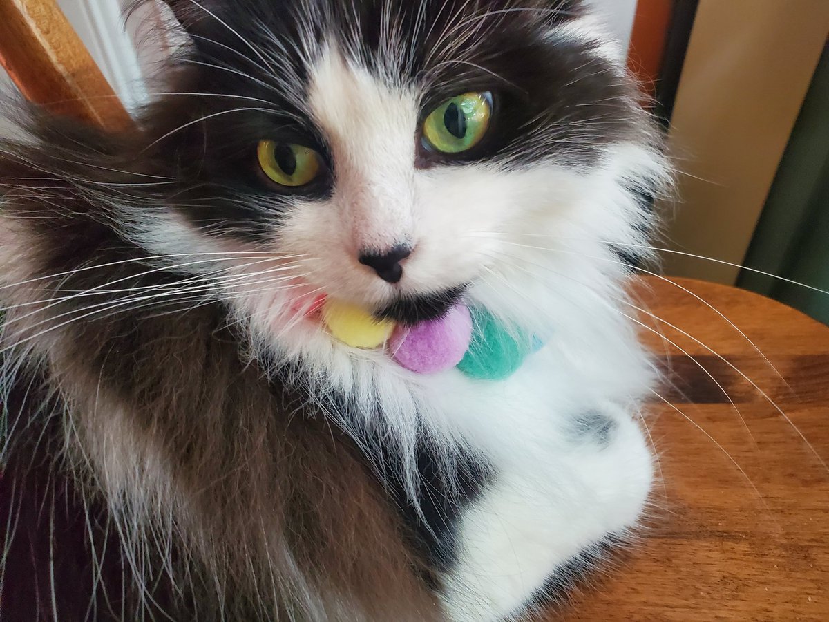 Baby Swayze tweet media