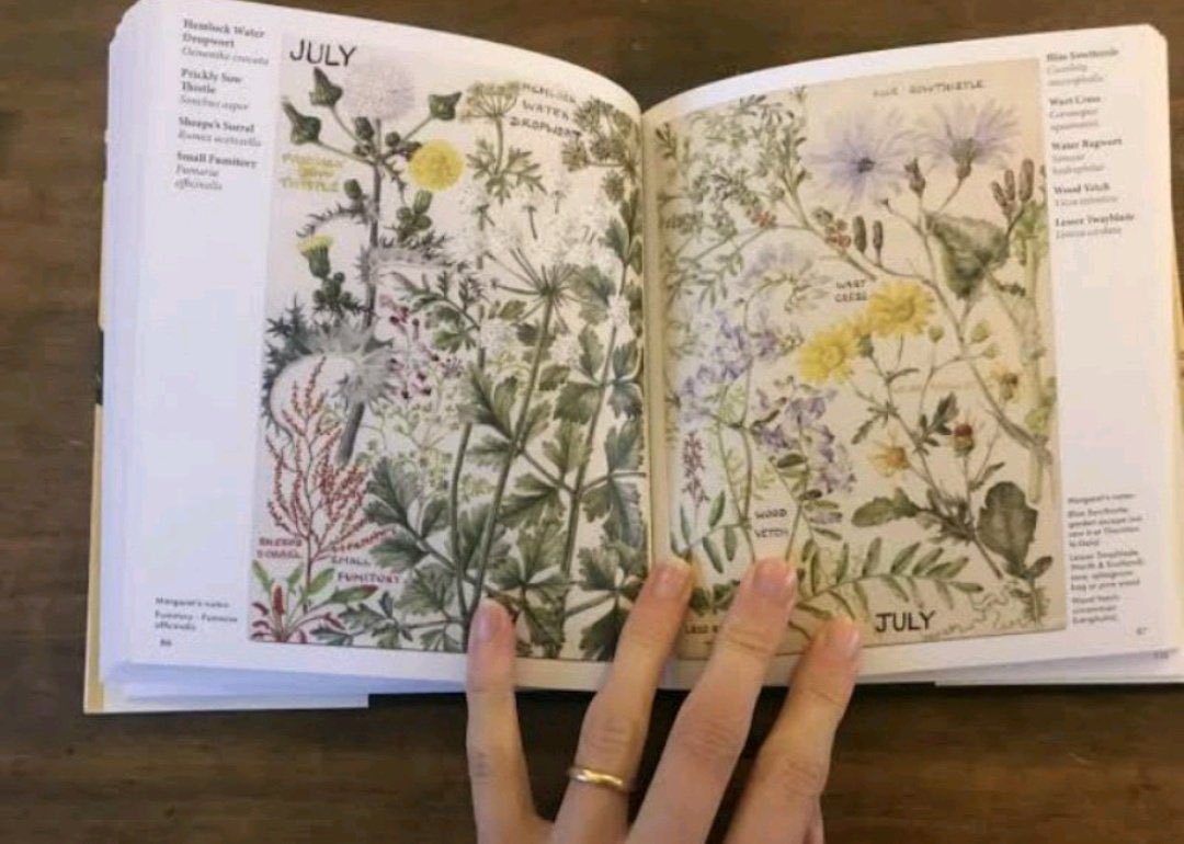 racunlitbase's tweet photo. Nemu buku-buku tentang bunga dan tanaman, nih. Cantip-cantip bangetttt 😭❤️❤️😱❤️

-a thread https://t.co/TBnx4GxmWh