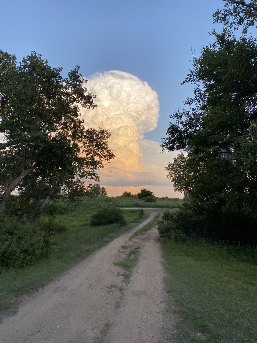 Emerson Lynch tweet media