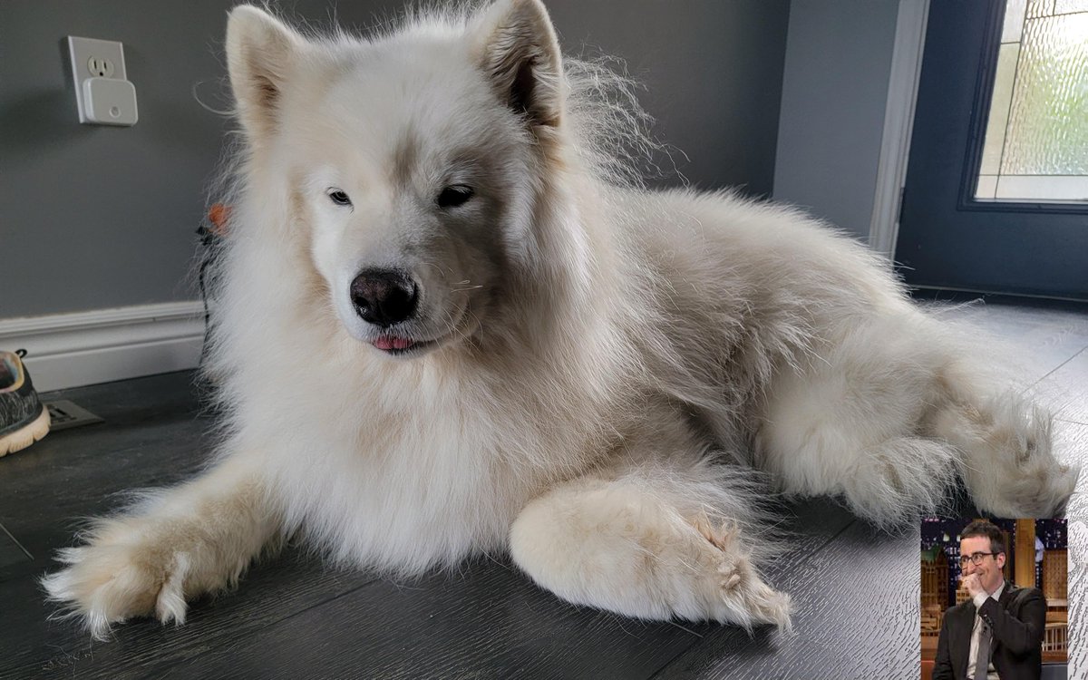 A happier day tweet media