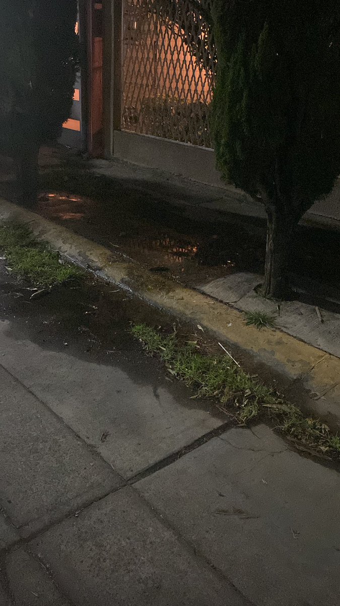 AhedoGomez's tweet photo. @GobNeza Buenas noches hago una atenderá llamada. Al @ODAPAS_NEZA  @GobNeza tenemos una fuga de agua potable desde hace mucho tiempo se ha reportado sin suerte solicito la reparen cuánto antes Bosque de Aragon, Bosque de Cuba https://t.co/XExsYARDSq