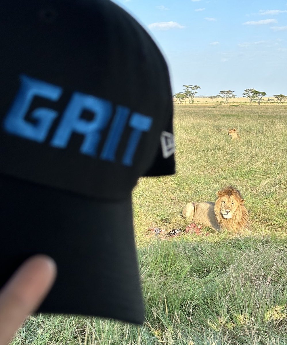 Joel Yashinsky tweet media