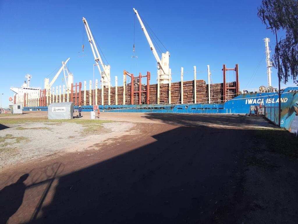MARITOSERPA's tweet photo. Listo a zarpar... directo desde nuestros puertos Entrerrianos a La India. 34.000 tns calado máximo https://t.co/KmPgrOAATj