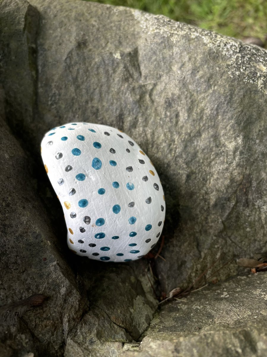 It’s nice when folks leave little painted rocks around for others to find! #Halifax