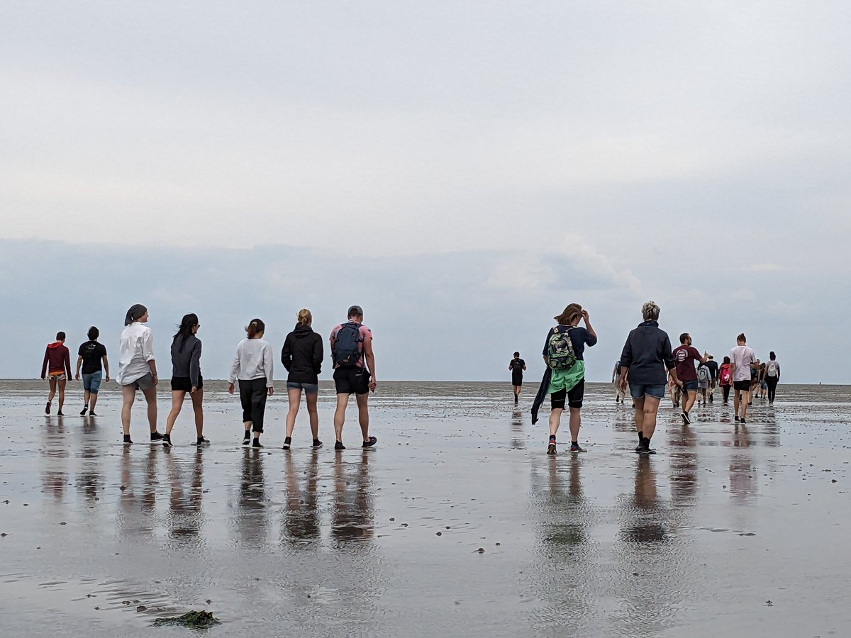 Great day away from the lab with the groups in building 18 (@RHavenith, @tkudernac, @robpollice and @lab_klein). Including a walk on the seabed at low tide in the Wadden Sea, followed by BBQ on the boat.