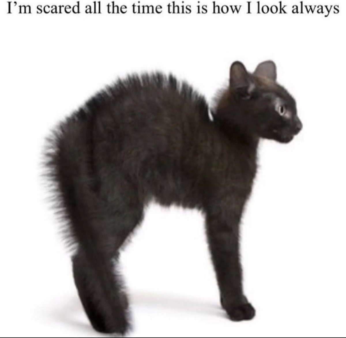 The Notorious J.O.V. (@whotfisjovana) on Twitter photo 