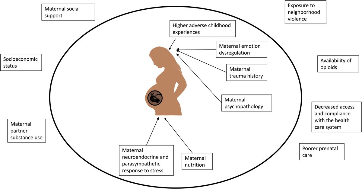 Neurobiology of Stress (@neurobiolstress) on Twitter photo Peep our Special Issue on Stress and Substance Abuse throughout Development.
Contributions from <a href="/AnneZMurphy/">Anne Z. Murphy</a> <a href="/drrajitastress/">Rajita Sinha, PhD</a> <a href="/mmsanch900/">Mar Sanchez</a> <a href="/mohamed_kabbaj/">Mohamed Kabbaj</a>, Klaus Miczek, Susan Andersen, Phil Fisher, Gina Forster, Dante Cicchetti and more! sciencedirect.com/journal/neurobā¦
<a href="/ELSneuroscience/">ElsevierNeuroscience</a> Peep our Special Issue on Stress and Substance Abuse throughout Development.
Contributions from <a href="/AnneZMurphy/">Anne Z. Murphy</a> <a href="/drrajitastress/">Rajita Sinha, PhD</a> <a href="/mmsanch900/">Mar Sanchez</a> <a href="/mohamed_kabbaj/">Mohamed Kabbaj</a>, Klaus Miczek, Susan Andersen, Phil Fisher, Gina Forster, Dante Cicchetti and more! sciencedirect.com/journal/neurobā¦
<a href="/ELSneuroscience/">ElsevierNeuroscience</a>