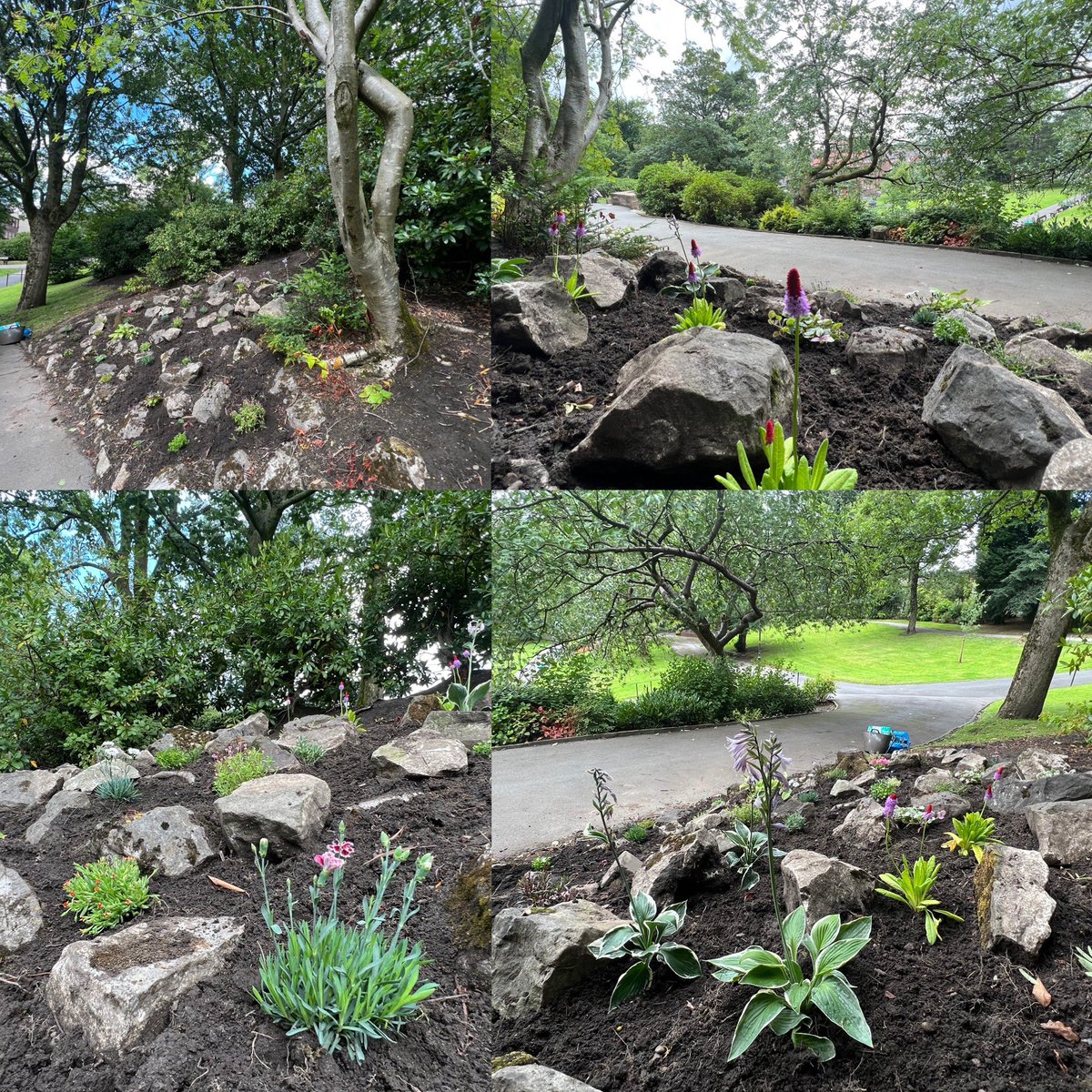 jubileeparkmidd's tweet photo. The Friends have had a very busy few days recreating an #Historic Alpine garden in the park , phase 1 part funded by @middletonrotary #HistoricParks @nwibofficial1 @GreenFlagAward @RochdaleCouncil @RochdaleOnline @RHSBloom #NWInBloom @nwparksforum #LoveParks https://t.co/gzZ5FvosIU