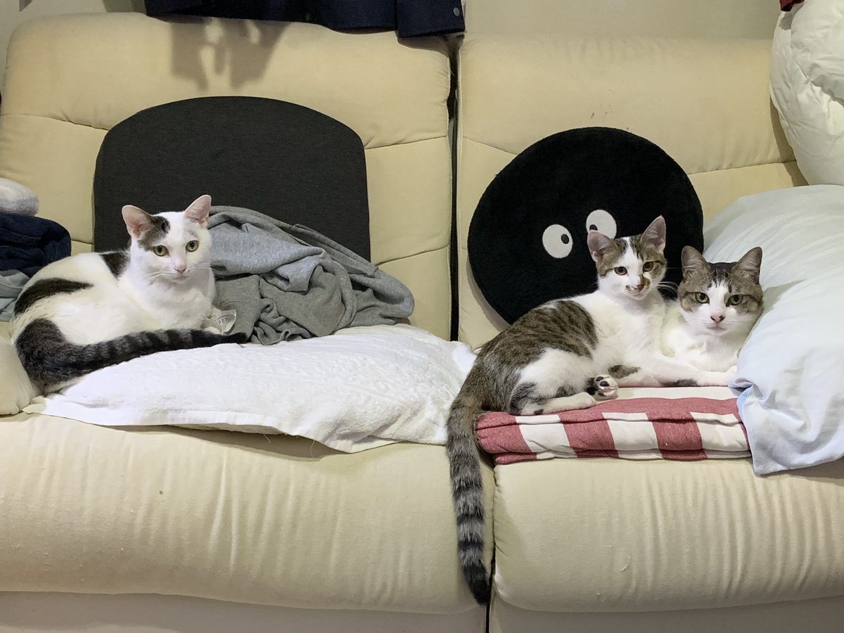 KILLYNET tweet media