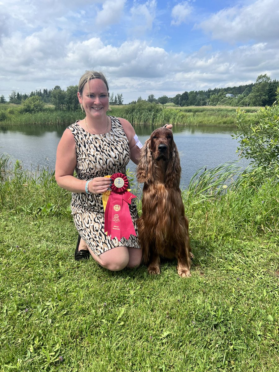 This guy. 
#Lenox <a href="/WKCDOGS/">Westminster Kennel Club</a> #irishsetter
