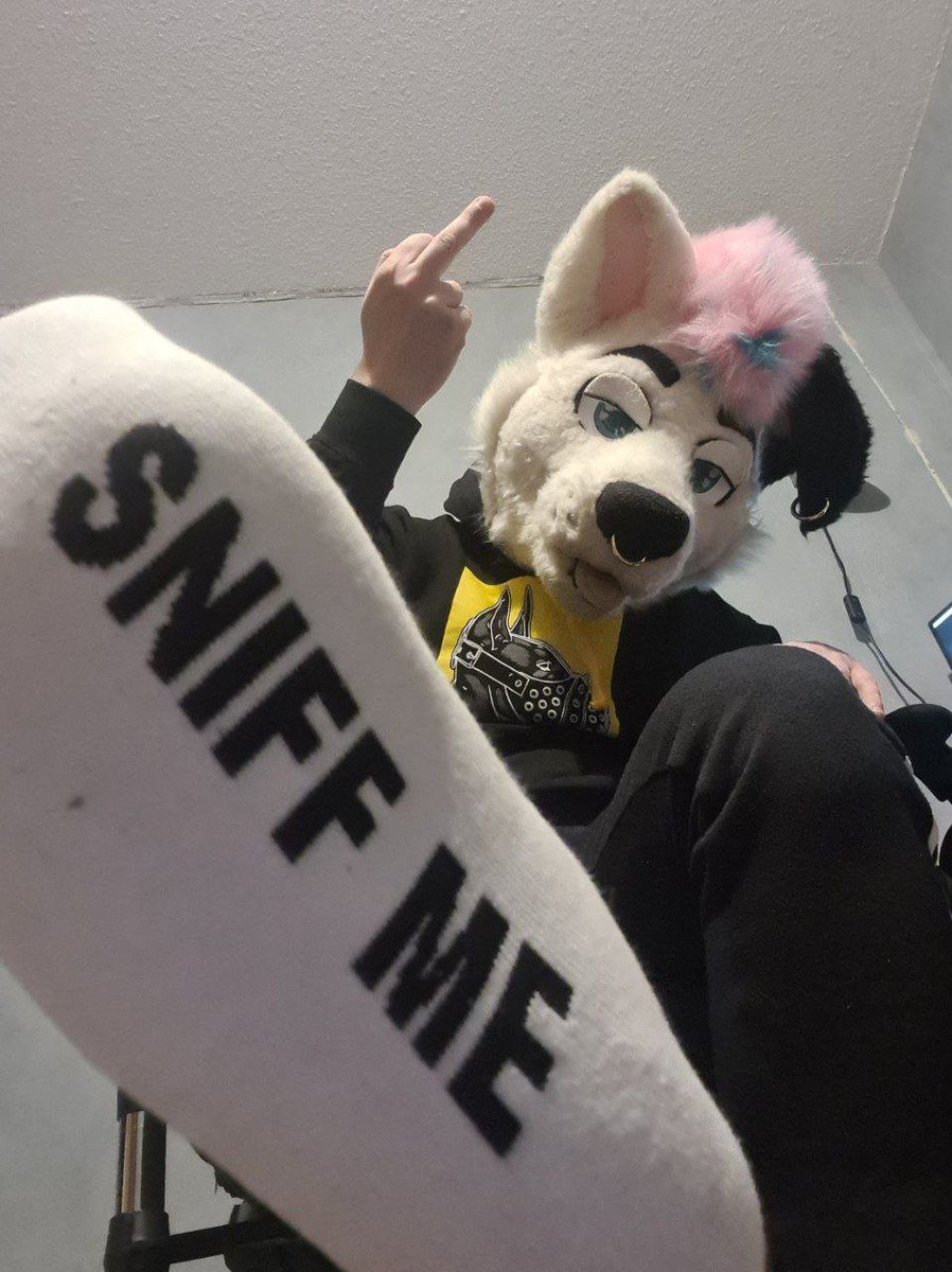 CashGodBruce's tweet photo. A simp tributed these white socks in my mail just before a convention. 
Made him clear I was going to wear them and put them in his mouth.

In the end we both got what we wanted😈
Haven't washed them since.
They are so dirty now~

Wanna taste?⏩DM me!

#FurryFindom #Feet #Socks https://t.co/kyfEBopHgy