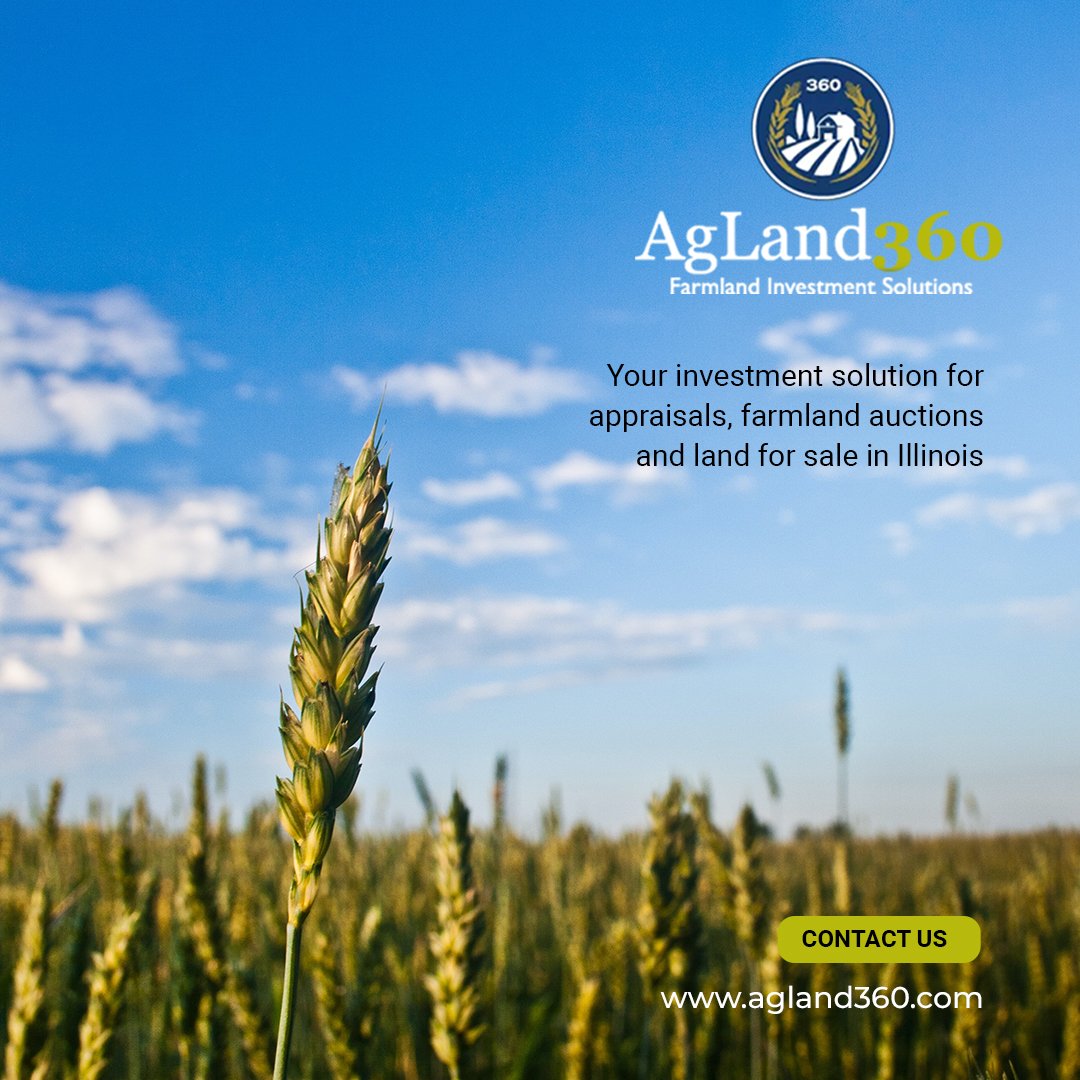 Your investment solution! Give us a call at 217.827.0960.