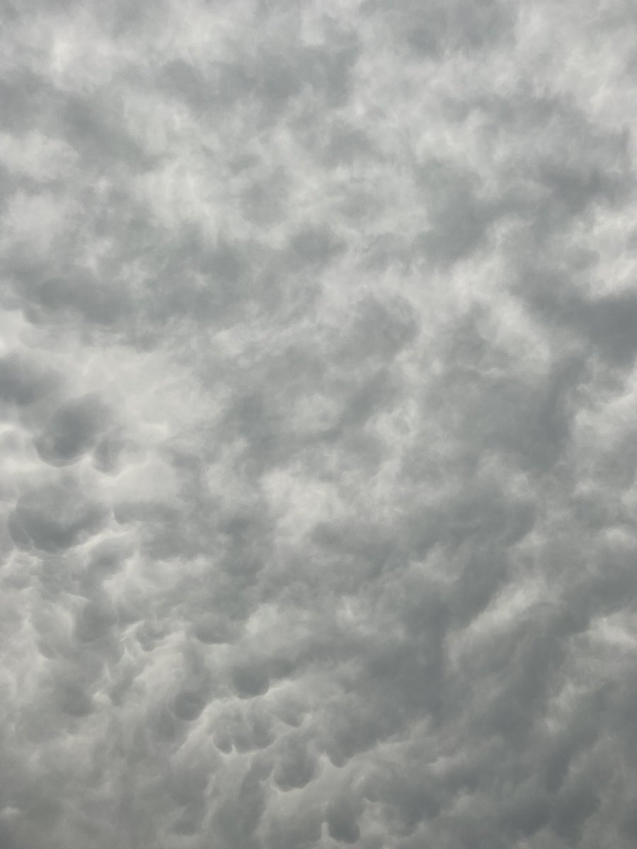 aprilinthesip's tweet photo. Cool mammatus clouds across the whole sky in Madison County! Now, how do y’all get the great pictures of them? Mine looks fuzzy, but still pretty I guess. 
#msweather @NWSJacksonMS @AdamMack89 @ChristanaK_WAPT @DHartman_WAPT https://t.co/6WRl6ADogM
