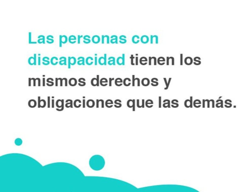flaviallmza's tweet photo. Pedimos incluyan la #discapacidadenagenda @PatoBullrich @luispetri @Nestorgrindetti @SergioMassa @RossiAgustinOk @JuanGrabois @Kicillofok @JMilei @horaciorlarreta @diegosantilli @GerardoMorales @NicolasdelCano @YoSoyMartiniano  @alfredocornejo 
@diegocostarelli 
@ortsjosea https://t.co/ku3LMhyzxT