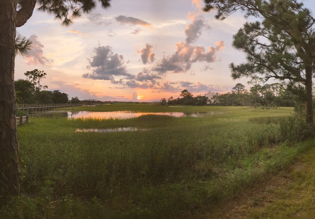 jwalverson's tweet photo. Only 2 times a day you need to know. Sunrise & sunset
#TybeeTime
@TheTybeeTimes @VisitTybee https://t.co/i8tEomUXSh