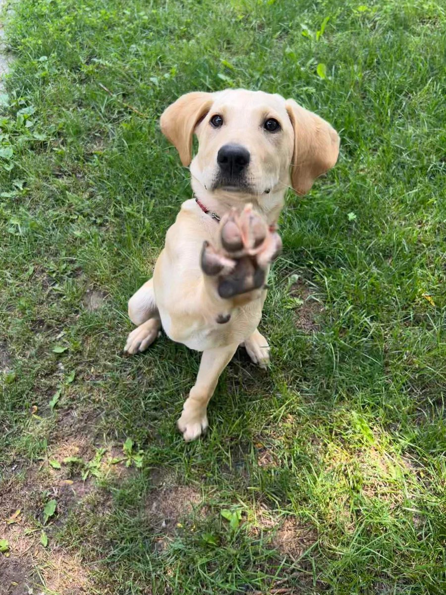 Jasper_ow tweet media