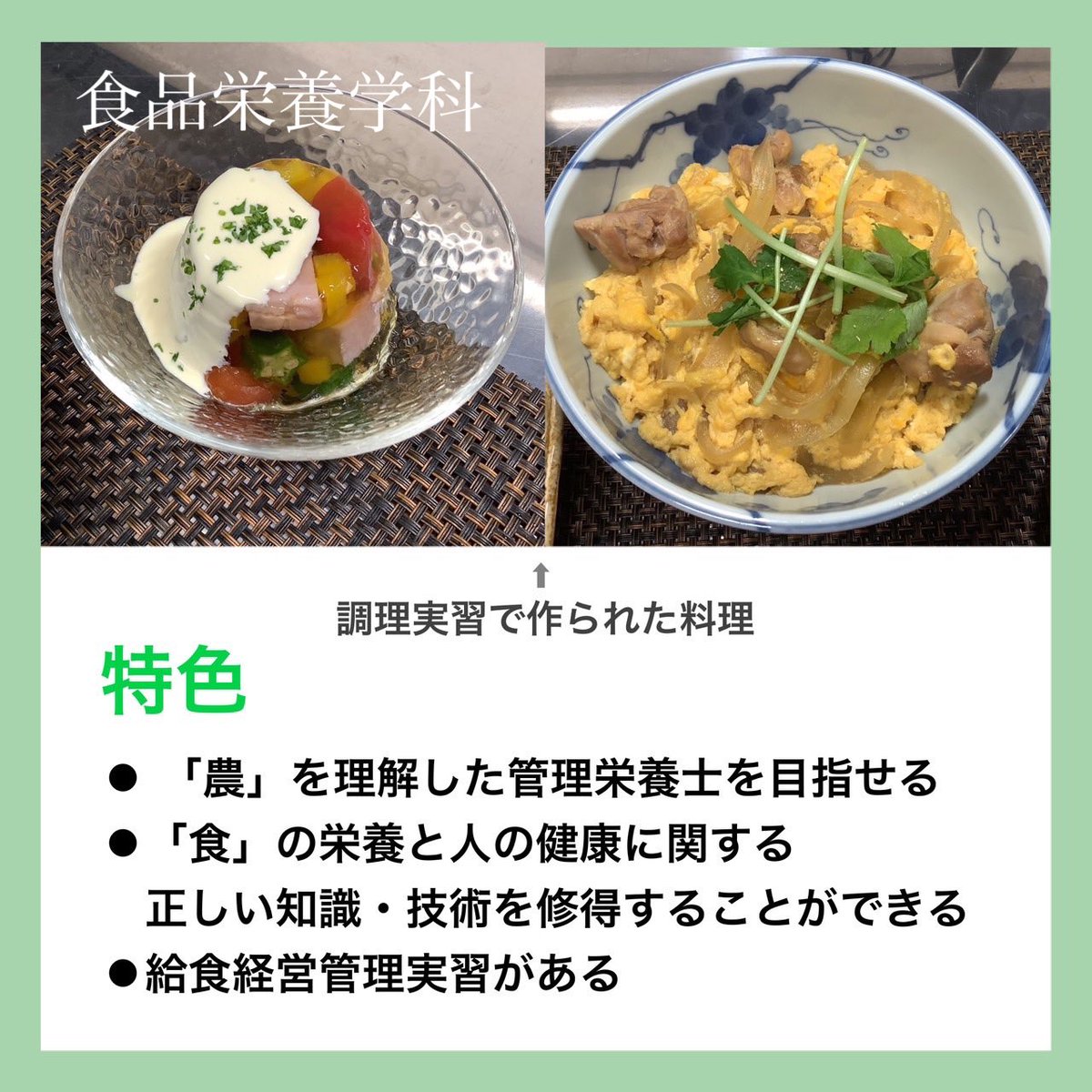 adsp_ru_seta's tweet photo. こんにちは！
アドミッションサポーターです！🚩

学部紹介最後は農学部です👨‍🌾
#龍谷大学瀬田キャンパス
#農学部 https://t.co/PLuyAROVQp