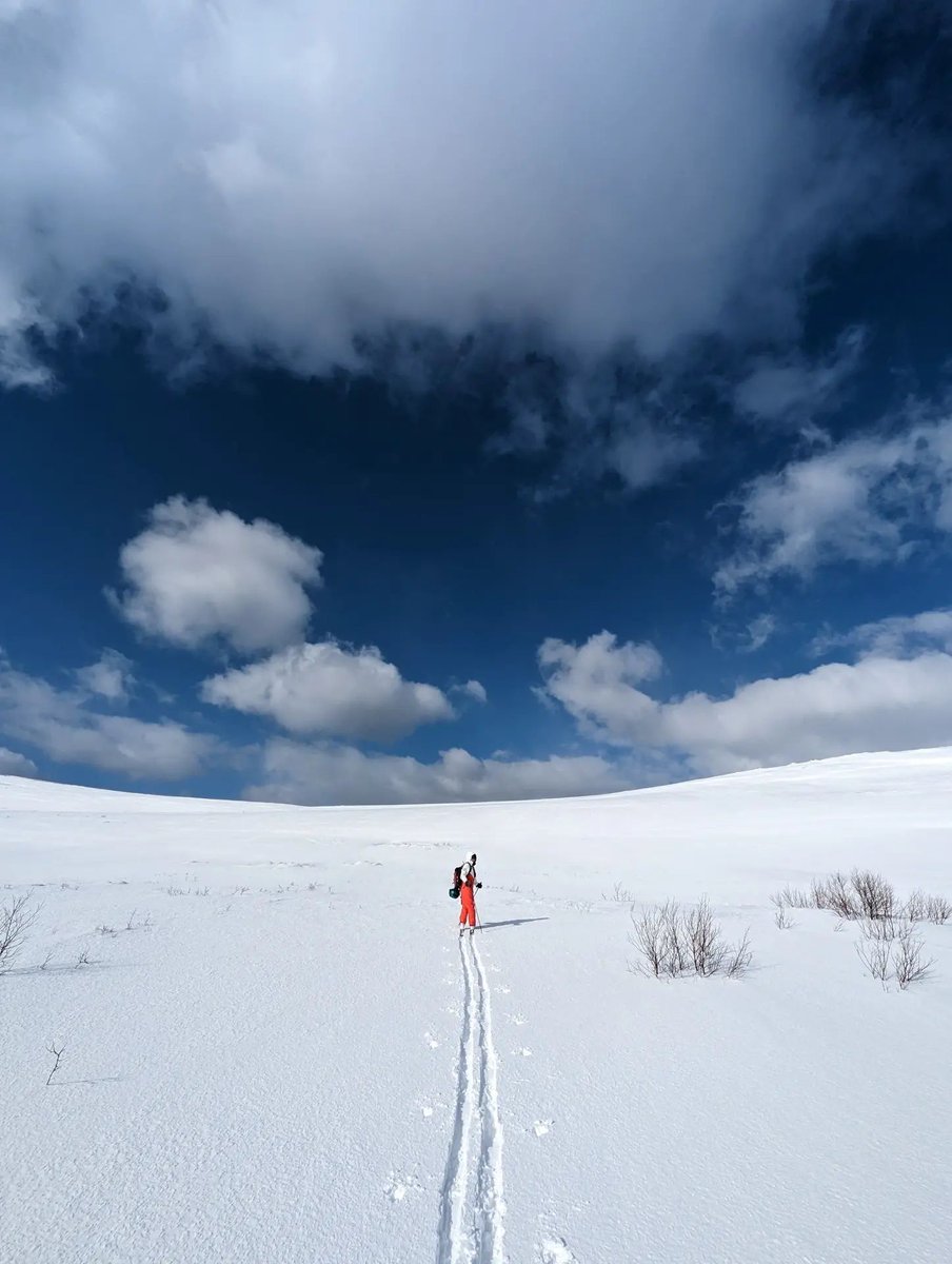 Annajiaxju's tweet photo. Mountaineering Skiing Roverton has more than enough places to mountaineering ski. You can also find powder snow everywhere by the bay. And the avalanche factor is a bit high these days. #NorwegianLife #SkiBigBend #MountainSkiing #DoubleSnowboarding #Lofton #Lofoten https://t.co/FK86xO0meQ