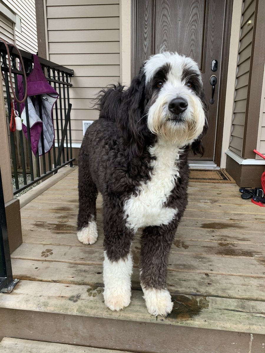 barkforcadence's tweet photo. Looking for love in all the wrong places https://t.co/4JGZb7Pbpd