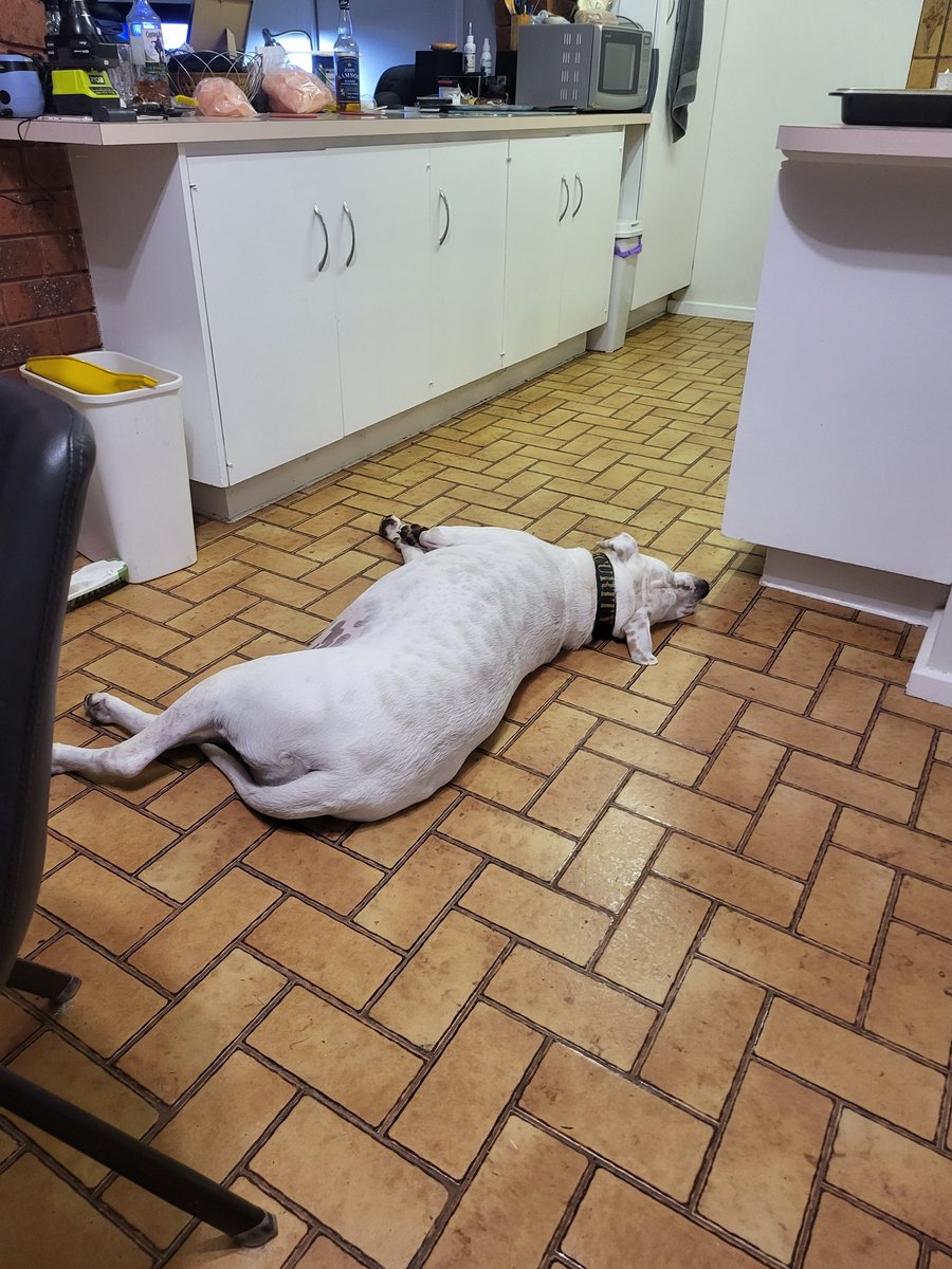 Ian Duncanson tweet media