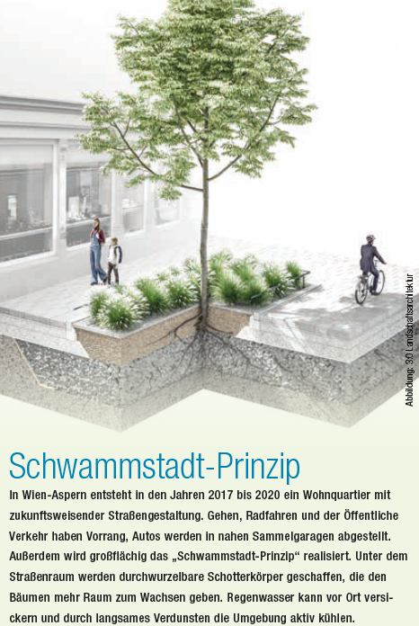 VCOE_AT's tweet photo. Was in Städten Standard werden sollte:  #Schwammstadtprinzip. Damit kann im Boden mehr Wasser gepeichert werden, stärkt Bäume, verhindert bei Starkregen Überschwemmungen, kühlt bei #Hitze durch Verdunstung die Umgebung ab. https://t.co/bHL46TXkPM