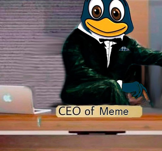 PENGY tweet media