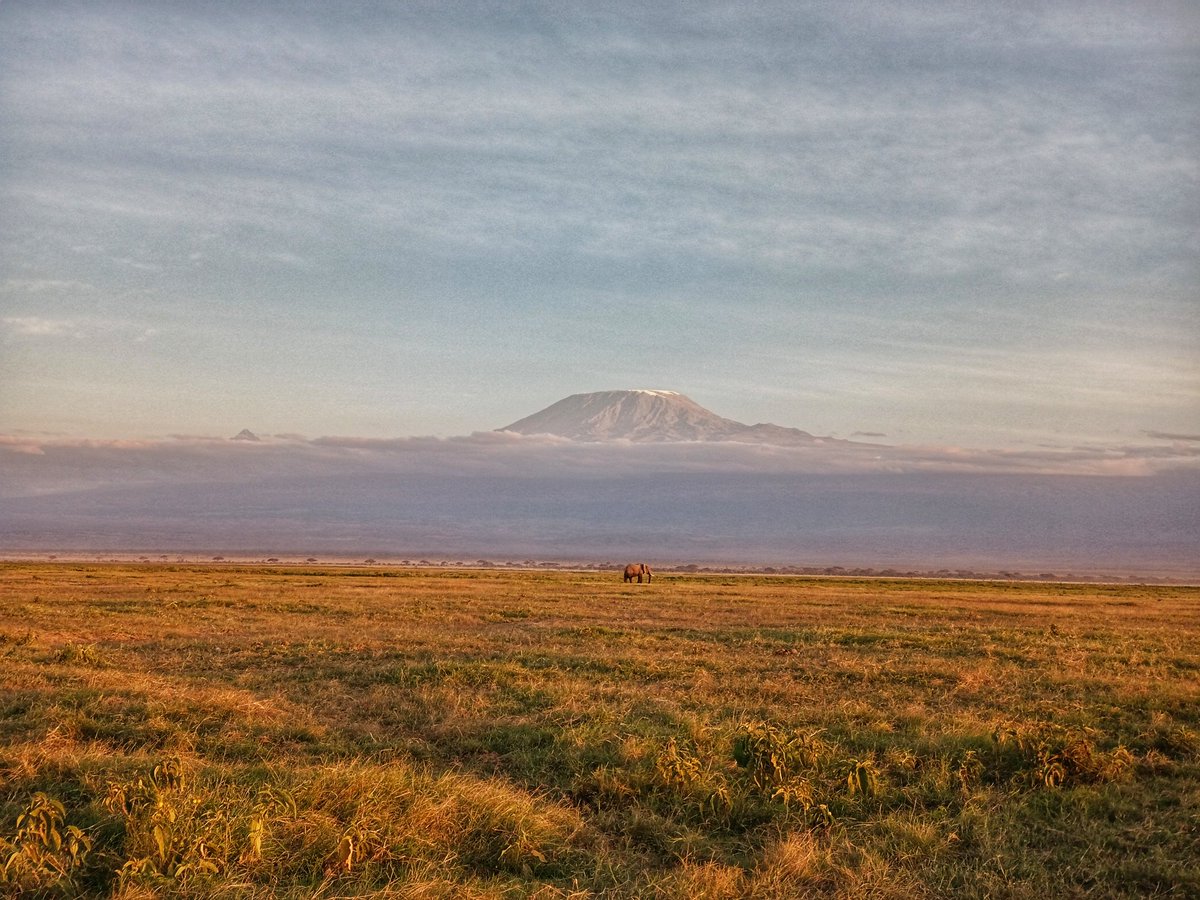 SpikyTours's tweet photo. Happy New Week From Paradise, Amboseli National Park, 🇰🇪

CALL OR EMAIL US FOR CUSTOMIZED KENYA SAFARI EXPERIENCES ‼️
☎️ +254796597208
📥 info@spikytours.com

#amboseli #amboselinationalpark #luxurytravel #kenyasafari #spikytours #kilimanjaro #safari #magicalkenya #elephants https://t.co/hPqzXzQfRL