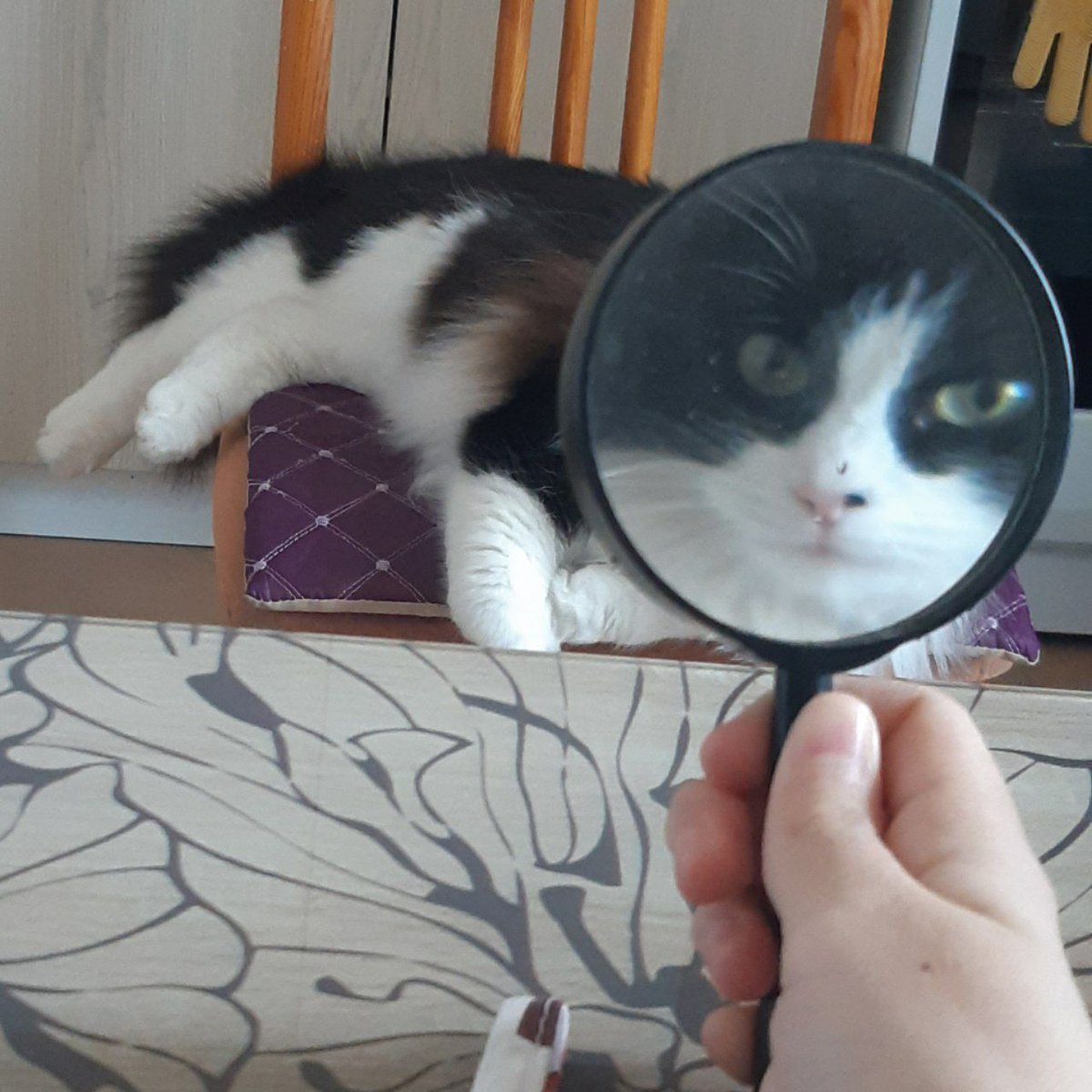 мдауш думал получится летом разрисоваться но как то нет. для души рисовать пока много не могу к сожалению ㅁ ㅁ #ranfren #randalivory #ranfrenfanart #randalsfriends #captaihowdie #ehe