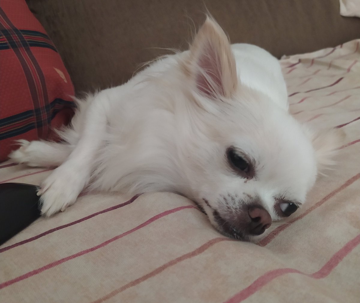 "No me jodas que otraves es lunes despiértame el viernes porfa"