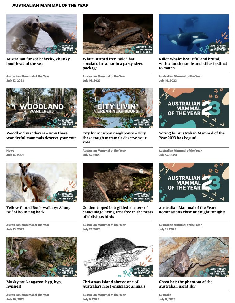 So, who wants to yarn about how AMAZING Australia's mammals are? 

I'm so ready to bang on about our fabulous fuzzballs! 

More info here: cosmosmagazine.com/nature/amoty/ <a href="/CosmosMagazine/">Cosmos</a> #AusMammalOfTheYear 2023.
