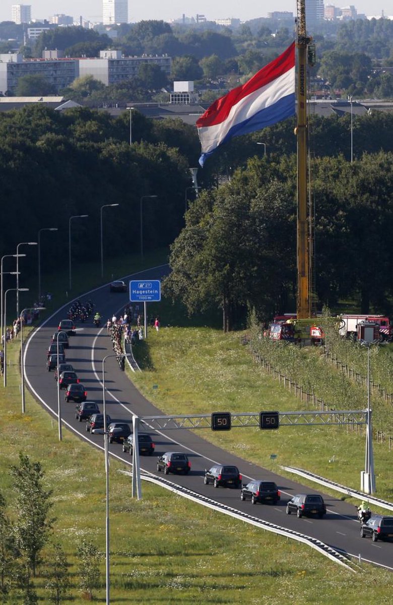 SilverFox235's tweet image. Never forget #MH17