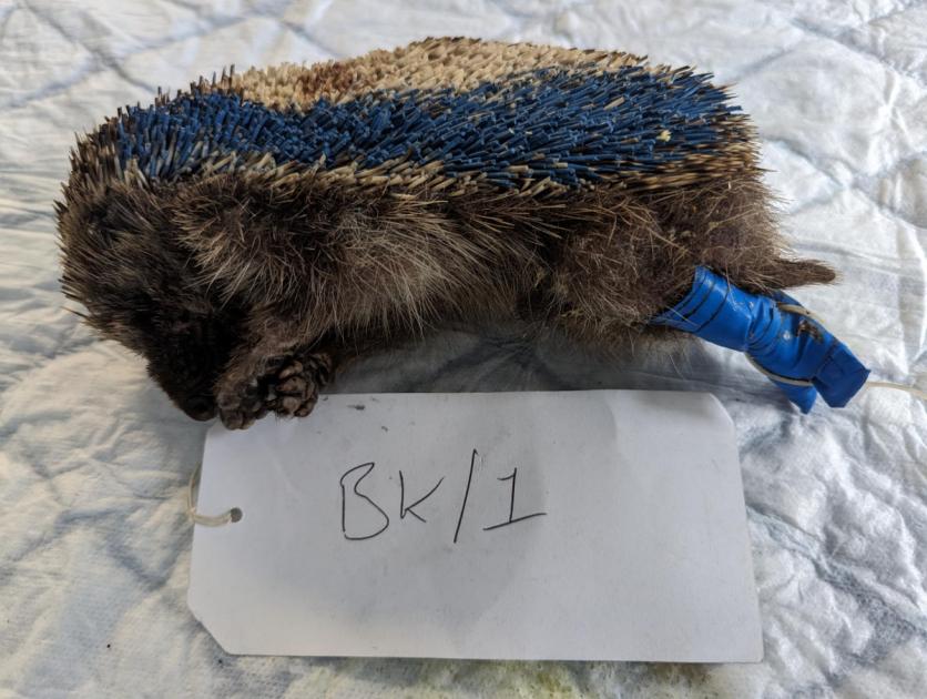 North Norfolk News tweet media