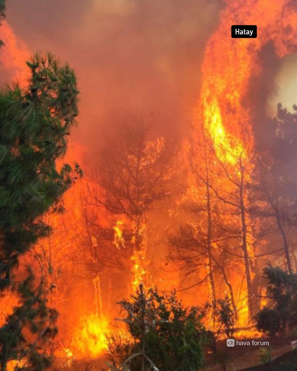 Ölümün her türlüsünü yaşadık. Her gün daha çok ölüyoruz. Acı çekerek yavaş yavaş ölüyoruz!

DUYUN SESİMİZİ!!

Hatay Özel Afet Bölgesi İlan Edilsin ⚠️

#HatayÖzelAfetBölgesiİlanEdilsin