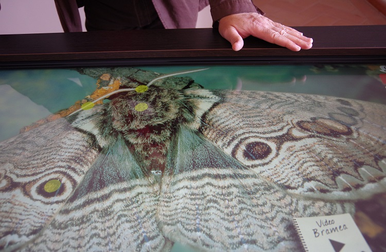 Die #Laghi di #Monticchio zählen zu den bezaubernden Schätzen der Region Vulture Melfese in der #Basilikata. Es lohnt sich, sie zu besuchen, weil sie etwas Merkwürdiges aufbewahren. 👉tinyurl.com/2p8u5p75 <a href="/LoveBasilicata/">Love Basilicata</a> <a href="/Basilicata_Tur/">Basilicata Turistica</a> <a href="/CiaoNico/">Nicoletta De Rossi</a> <a href="/DiDifeo/">marcella di feo</a>