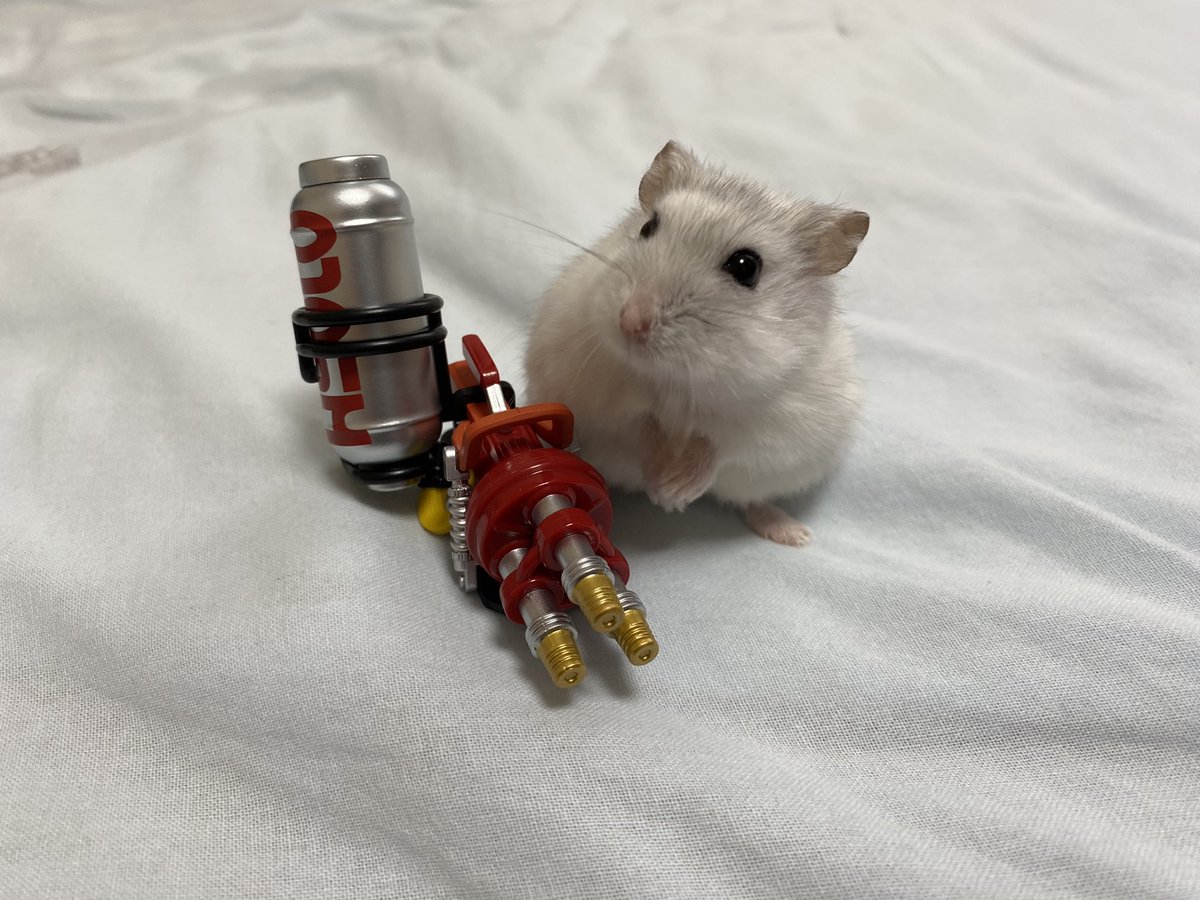 𝕙𝕚𝕚𝕔𝕙𝕒𝕟 tweet media