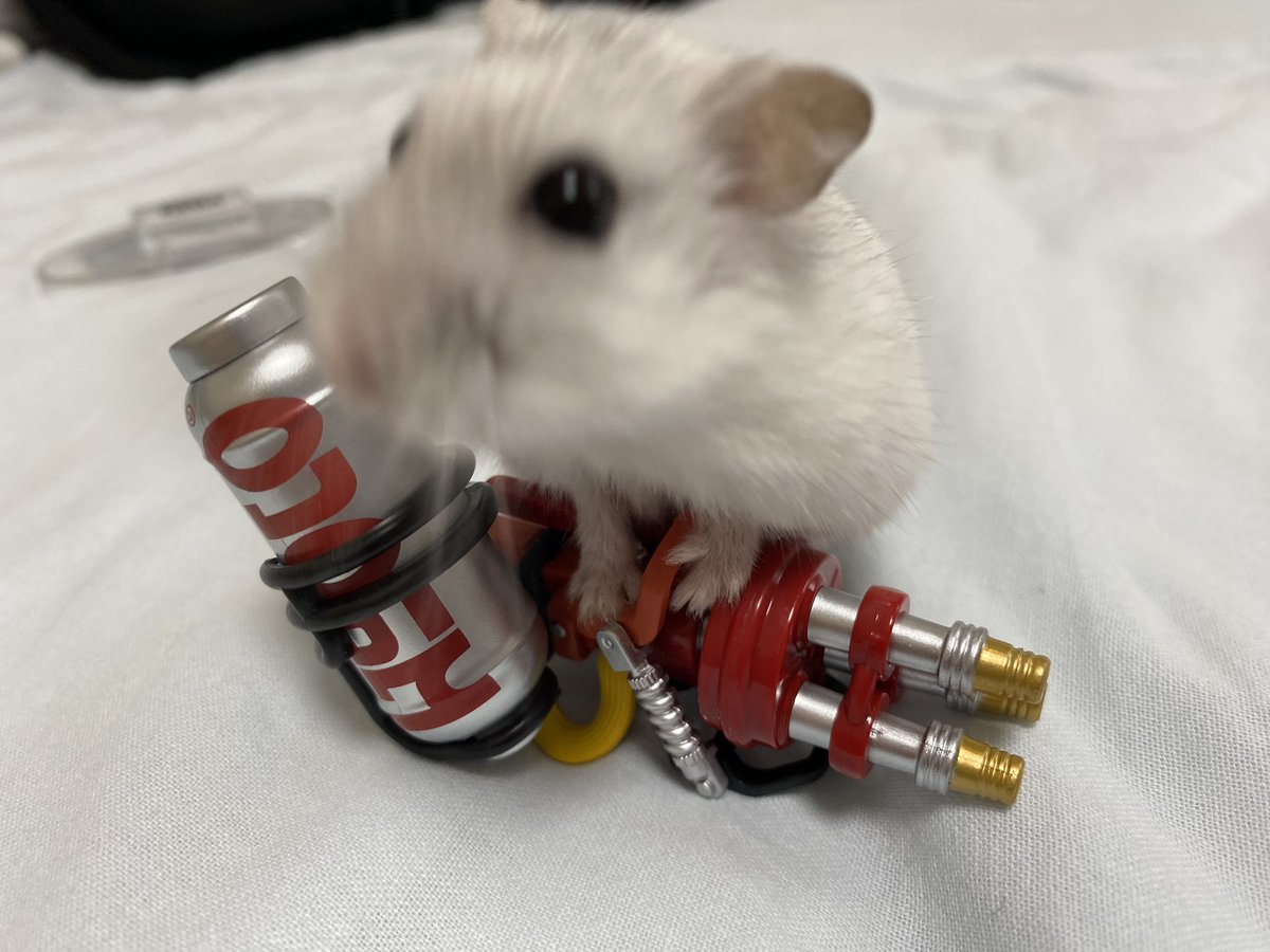 𝕙𝕚𝕚𝕔𝕙𝕒𝕟 tweet media
