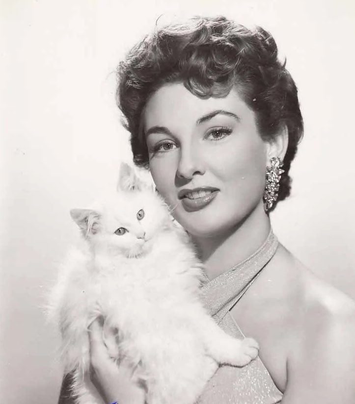 analgesicsleep's tweet photo. And our #BNoirDetour leading ladies this week are Abbe Lane and Allison Hayes
#ChicagoSyndicate #AbbeLane #AllisonHayes #FilmNoir https://t.co/kNou7Gs4Wc