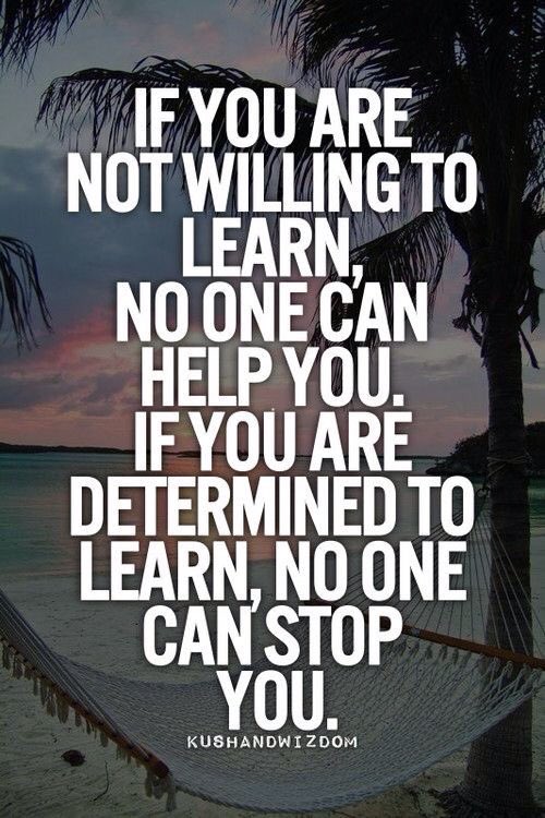 CheezledaWeazel's tweet photo. @bige3430 https://t.co/hrp0sDKsWu