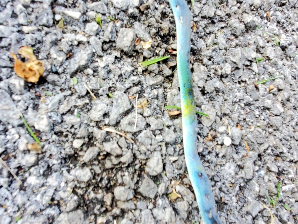 I block Elmos ads 🇺🇦 tweet media