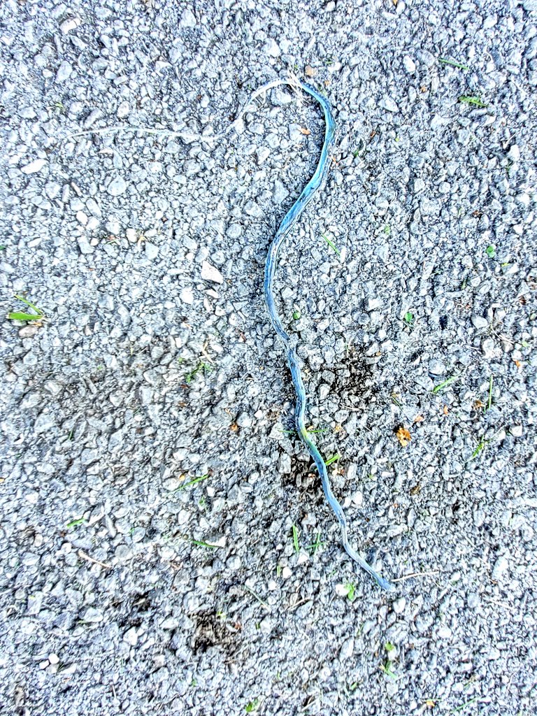 I block Elmos ads 🇺🇦 tweet media