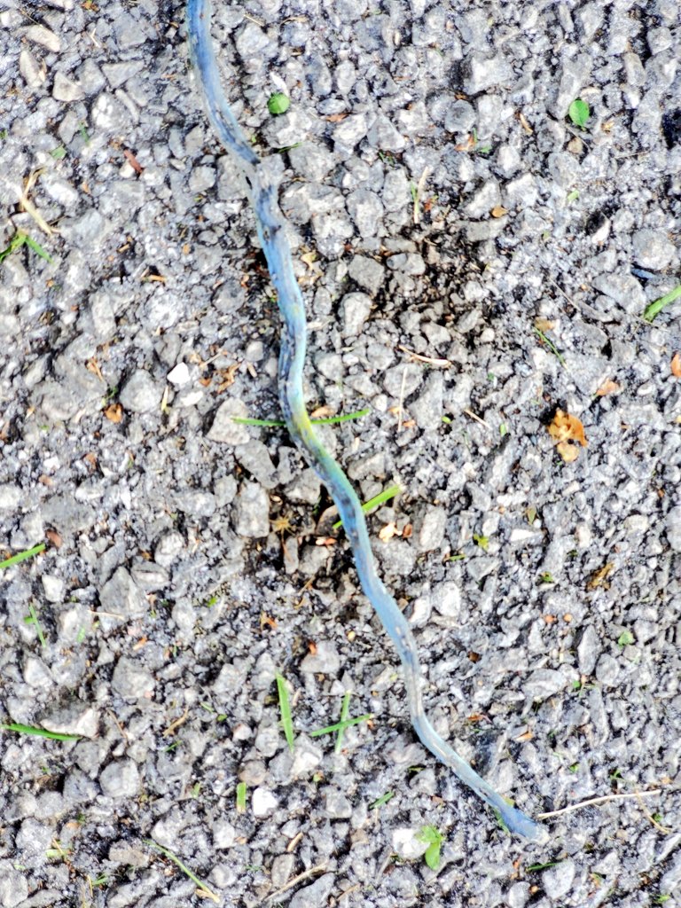 I block Elmos ads 🇺🇦 tweet media