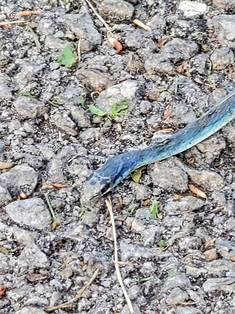 I block Elmos ads 🇺🇦 tweet media