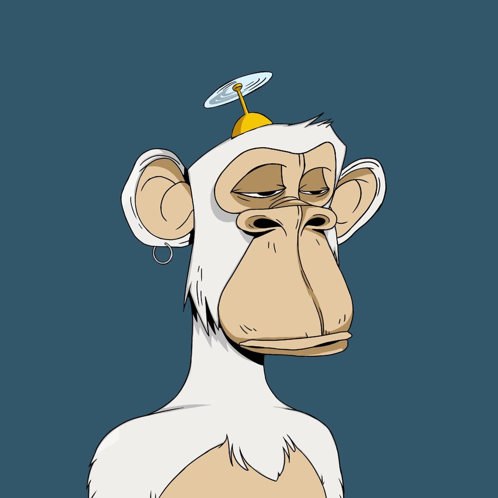 SKiTua3's tweet photo. @TheMiamiApe @weareJBAS so many fave NFTs https://t.co/scTCPyWbZL