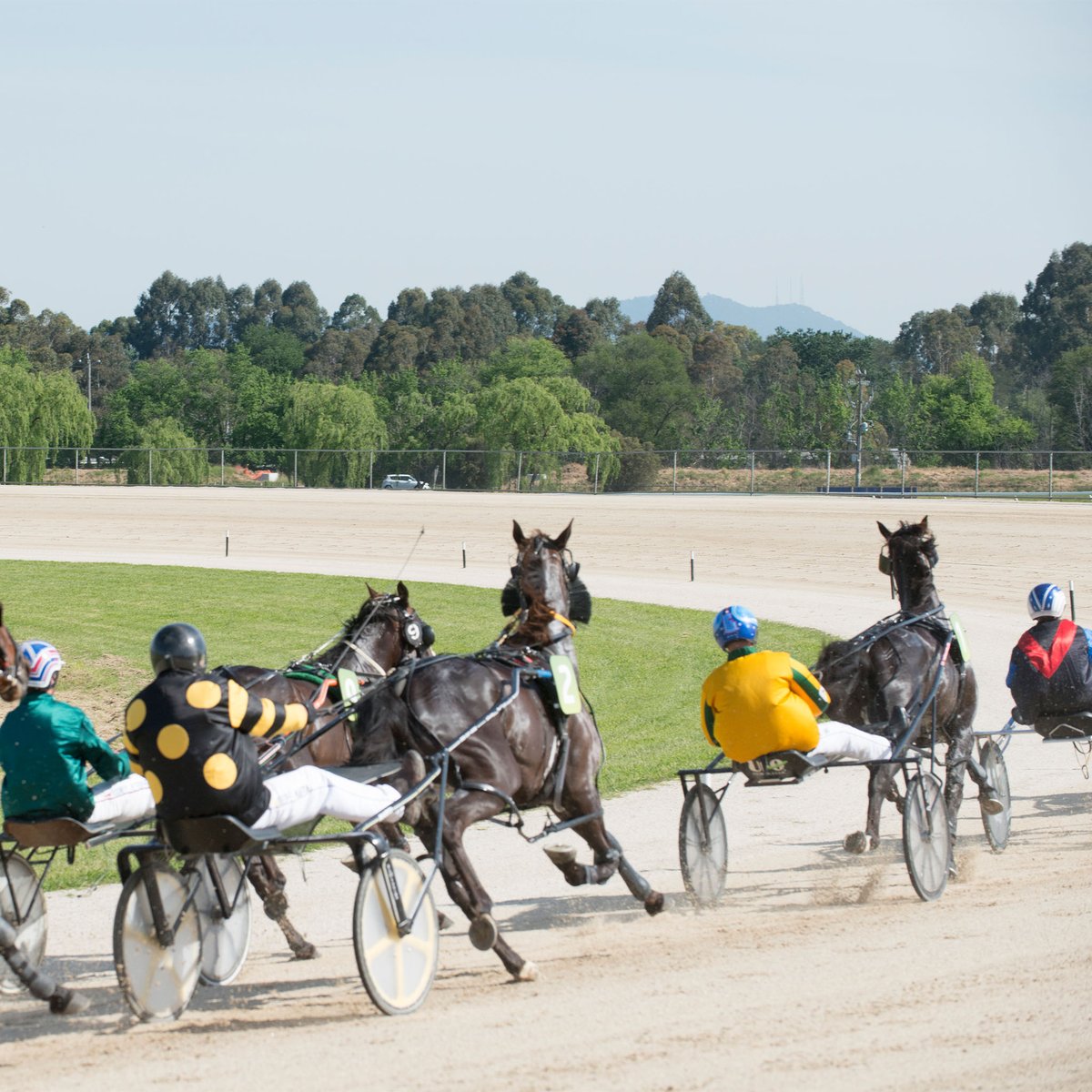 What a lovely day for Racing in the beautiful Yarra Valley. #yvracing