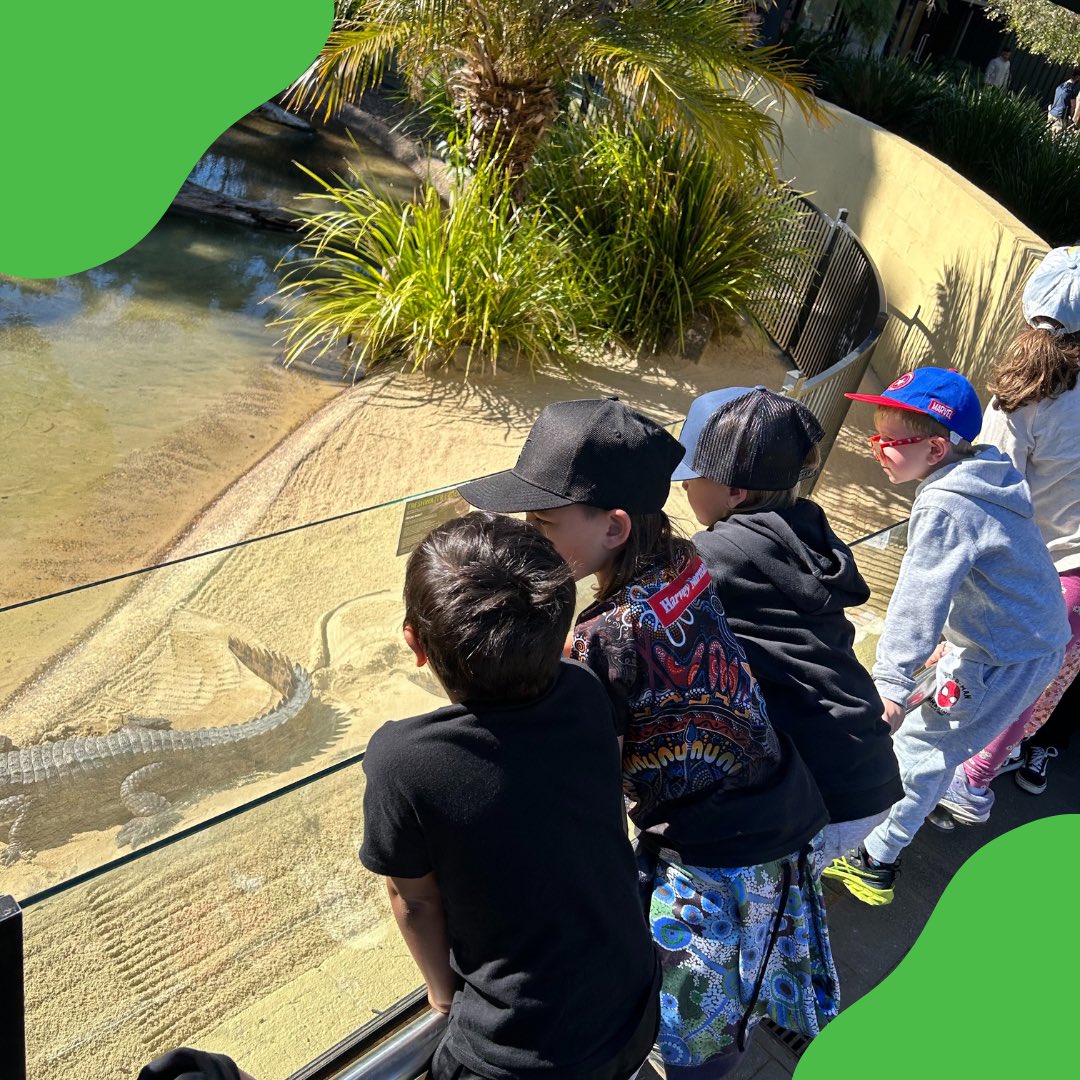 Yesterday our Lapa kids had a deadly day at our holiday program visiting Symbio Wildlife Park, the kids enjoyed spotting the animals and getting to feed a few🌿🐨🦘