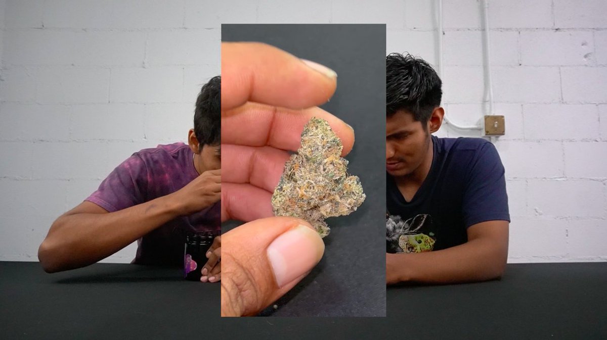 thehighsense's tweet photo. Late night Quick Weed Review video on our YouTube 🔥💨

https://t.co/yN0EOAGj9E

We smoked the Dirty Fresca by Watson Supply x Urban Buddha x Natty Labs , sum cold heat stuff going on 🥶 🥵 https://t.co/KrpEsXP4qZ